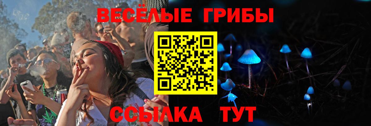 Урюпинск  Галлюциногенные грибы ЛСД  Вход с VPN 